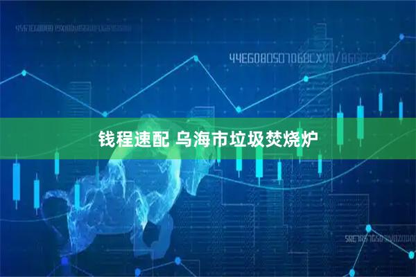 钱程速配 乌海市垃圾焚烧炉