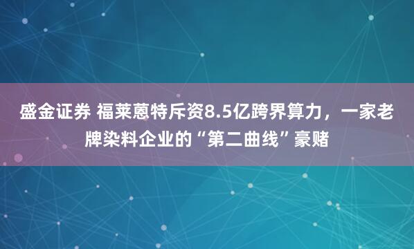 盛金证券 福莱蒽特斥资8.5亿跨界算力，一家老牌染料企业的“第二曲线”豪赌