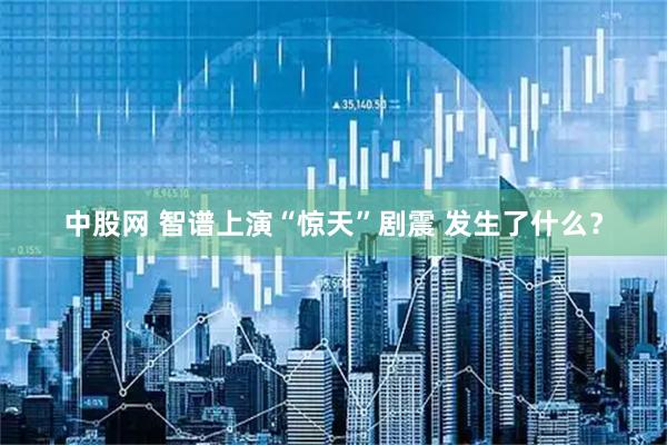 中股网 智谱上演“惊天”剧震 发生了什么？