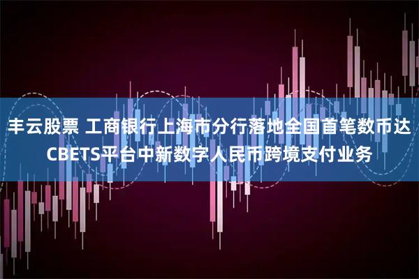 丰云股票 工商银行上海市分行落地全国首笔数币达CBETS平台中新数字人民币跨境支付业务
