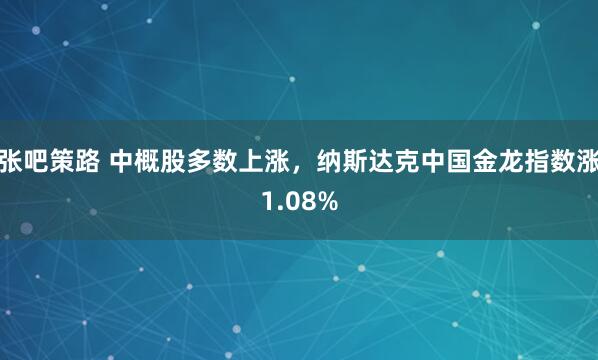 张吧策路 中概股多数上涨，纳斯达克中国金龙指数涨1.08%
