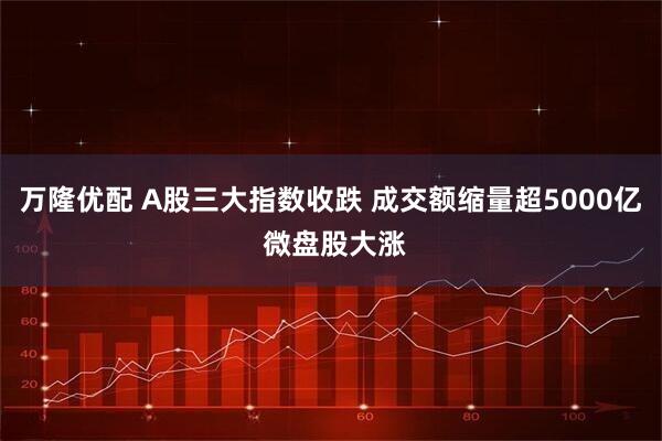 万隆优配 A股三大指数收跌 成交额缩量超5000亿 微盘股大涨